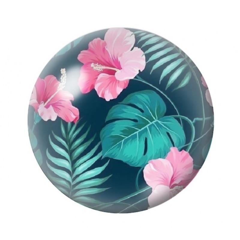  Cabochon en Verre Illustré Exotique Fleurs 12 à 25mm