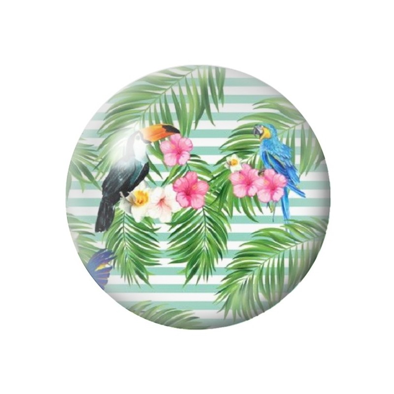  Cabochon en Verre Illustré Exotique Perroquet Toucan 12 à 25mm