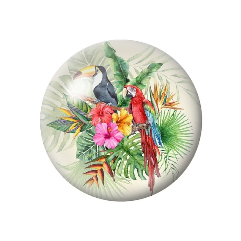  Cabochon en Verre Illustré Exotique Perroquet Toucan 12 à 25mm