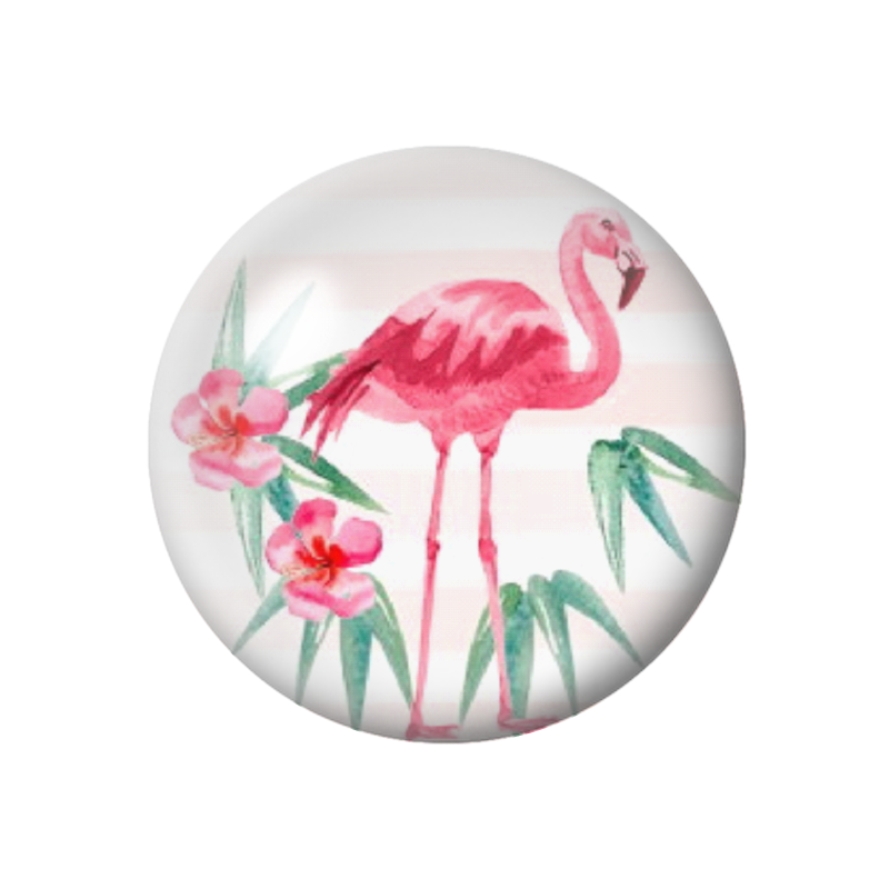  Cabochon en Verre Illustré Exotique Flamant Rose 12 à 25mm