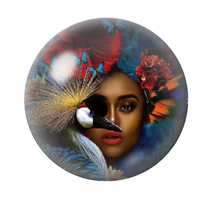  Cabochon en Verre Illustré Exotique Femme Grue 12 à 25mm