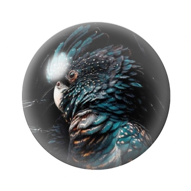 Cabochon en Verre Illustré Cacatoès12 à 25mm