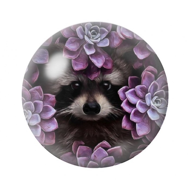 Cabochon en Verre Illustré Raton-Laveur 12 à 25mm