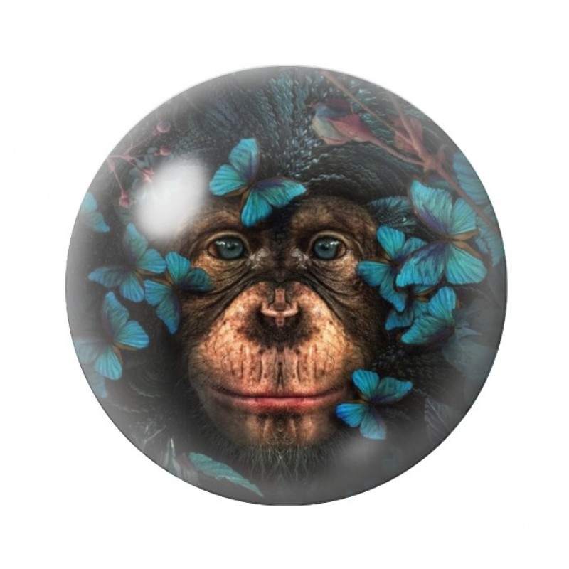 Cabochon en Verre Illustré Singe 12 à 25mm
