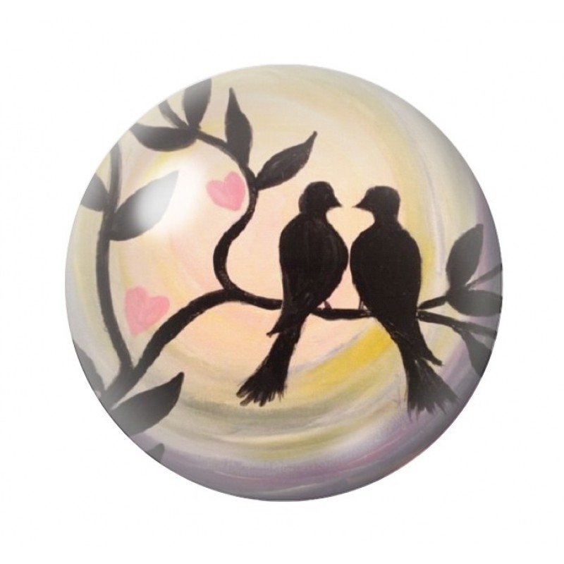 Cabochon en Verre Illustré Oiseaux Amour St Valentin 12 à 25mm