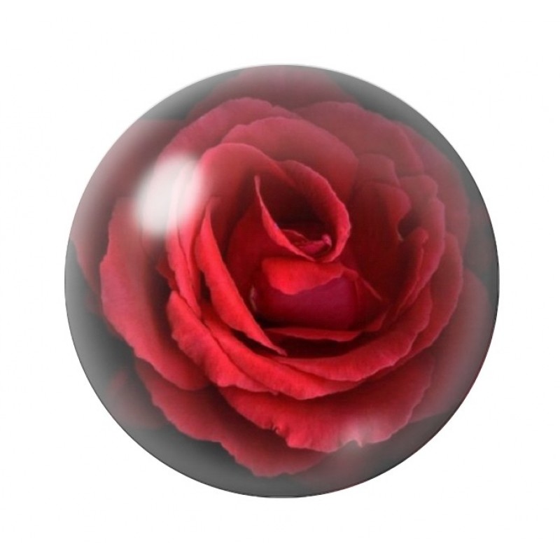 Cabochon en Verre Illustré Rose Rouge Amour St Valentin 12 à 25mm