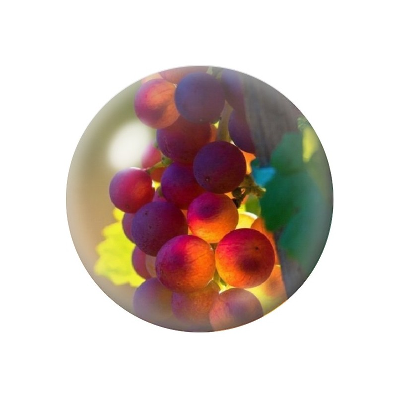Cabochon en Verre Illustré Fruit Raisin 12 à 25mm
