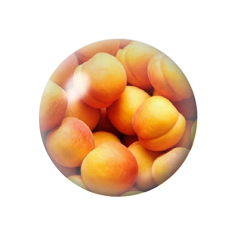 Cabochon en Verre Illustré Fruit Abricots 12 à 25mm