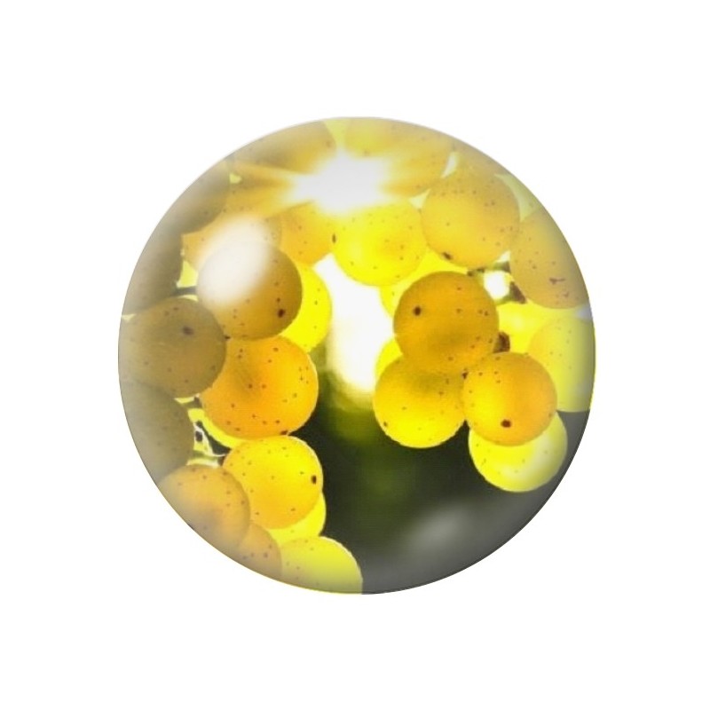 Cabochon en Verre Illustré Fruit Raisins 12 à 25mm