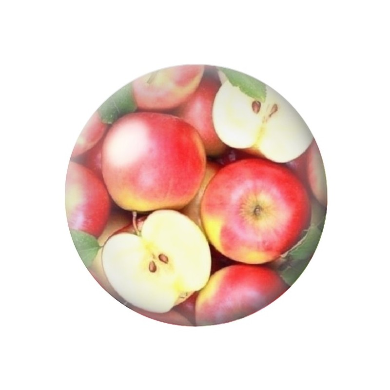 Cabochon en Verre Illustré Fruit Pommes 12 à 25mm