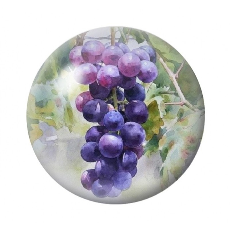 Cabochon en Verre Illustré Fruit Raisin 12 à 25mm