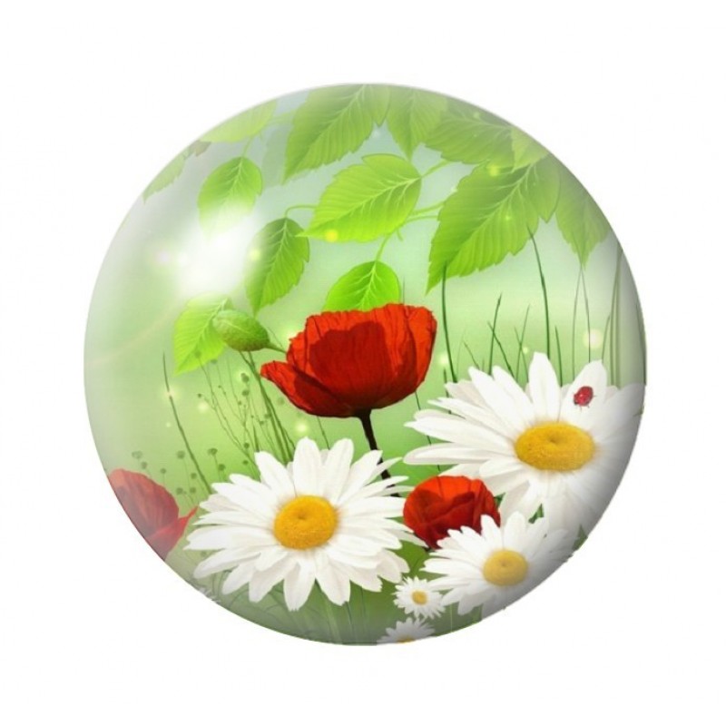 Cabochon en Verre Illustré Fleurs Coquelicots 12 à 25mm