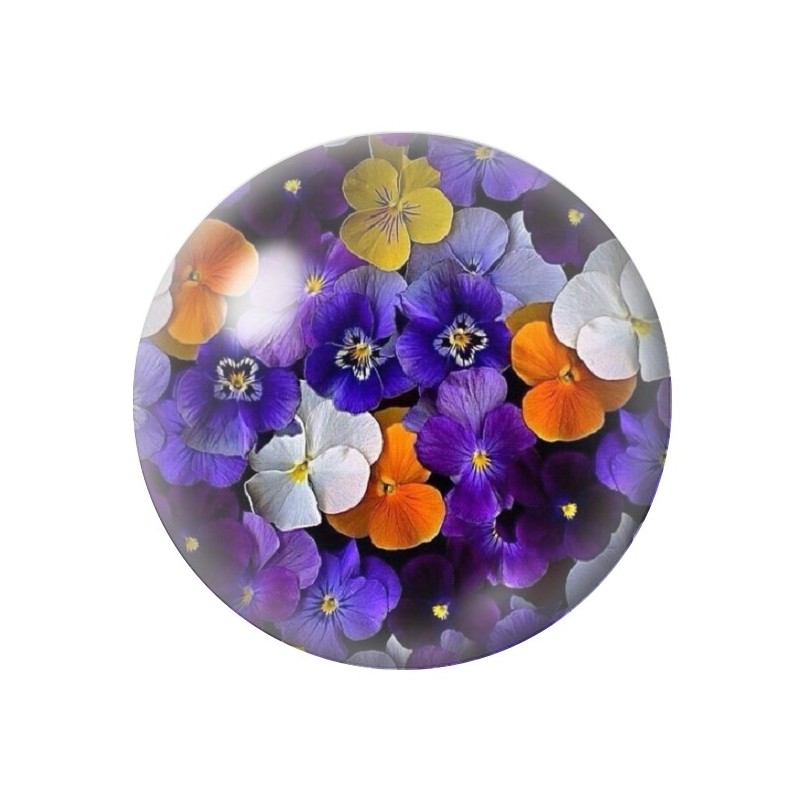 Cabochon en Verre Illustré Fleurs 12 à 25mm
