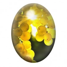 Cabochon en Verre Illustré Grappe de Raisin Blanc 13x18, 18x25 ou 30x40mm pour la création de bijoux fantaisie - DIY