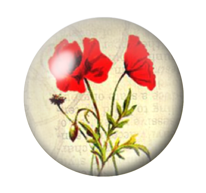 Cabochon en Verre Illustré Coquelicost 12 à 25mm