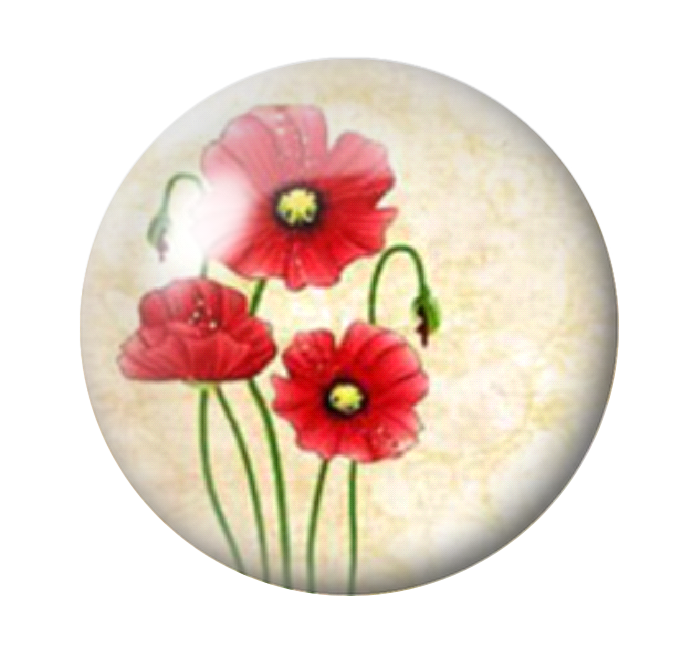 Cabochon en Verre Illustré Coquelicots 12 à 25mm