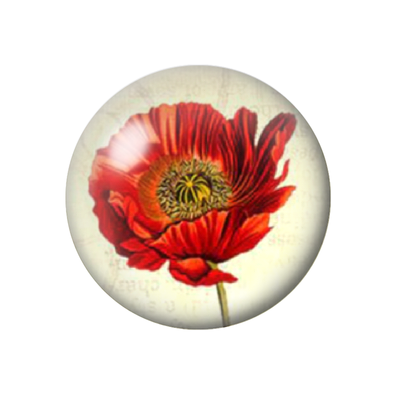 Cabochon en Verre Illustré Coquelicot 12 à 25mm