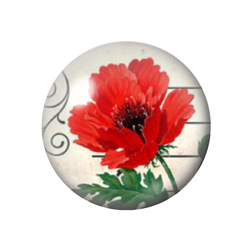 Cabochon en Verre Illustré Coquelicot 12 à 25mm