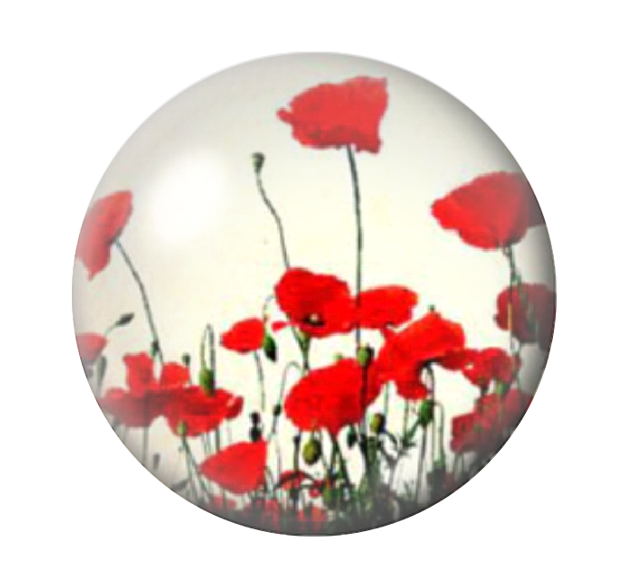 Cabochon en Verre Illustré Coquelicots 12 à 25mm