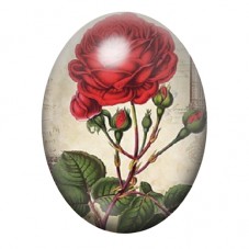 Cabochon en Verre Illustré Rose Rouge Botanique Vintage 13x18, 18x25 ou 30x40mm pour la création de bijoux fantaisie - DIY