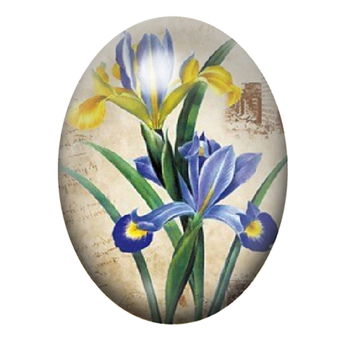 Cabochon en Verre Illustré Fleurs 13x18, 18x25 ou 30x40mm