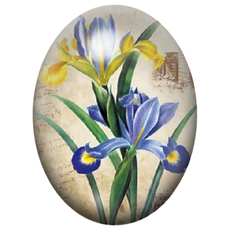 Cabochon en Verre Illustré Iris Bleus et Jaunes Vintage 13x18, 18x25 ou 30x40mm
