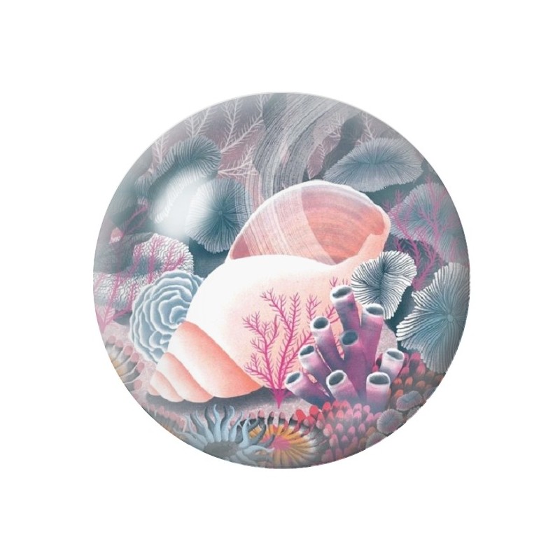 Cabochon en Verre Illustré Coquillage Mer Été 12 à 25mm