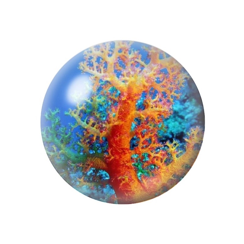Cabochon en Verre Illustré Corail Mer Été 12 à 25mm