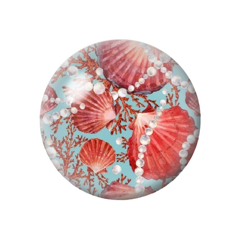 Cabochon en Verre Illustré Coquillages Perles Mer Été 12 à 25mm