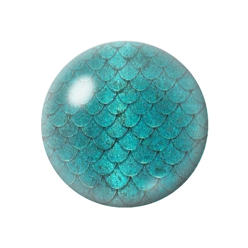 Cabochon en Verre Illustré Ecailles Poisson Sirène Mer Été 12 à 25mm