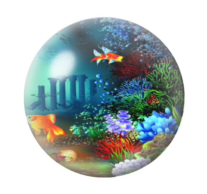Cabochon en Verre Illustré Poissons Mer Été 12 à 25mm