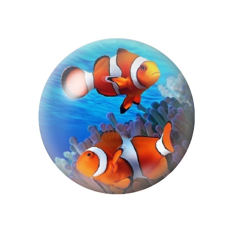Cabochon en Verre Illustré Poissons Clowns Mer Été 12 à 25mm
