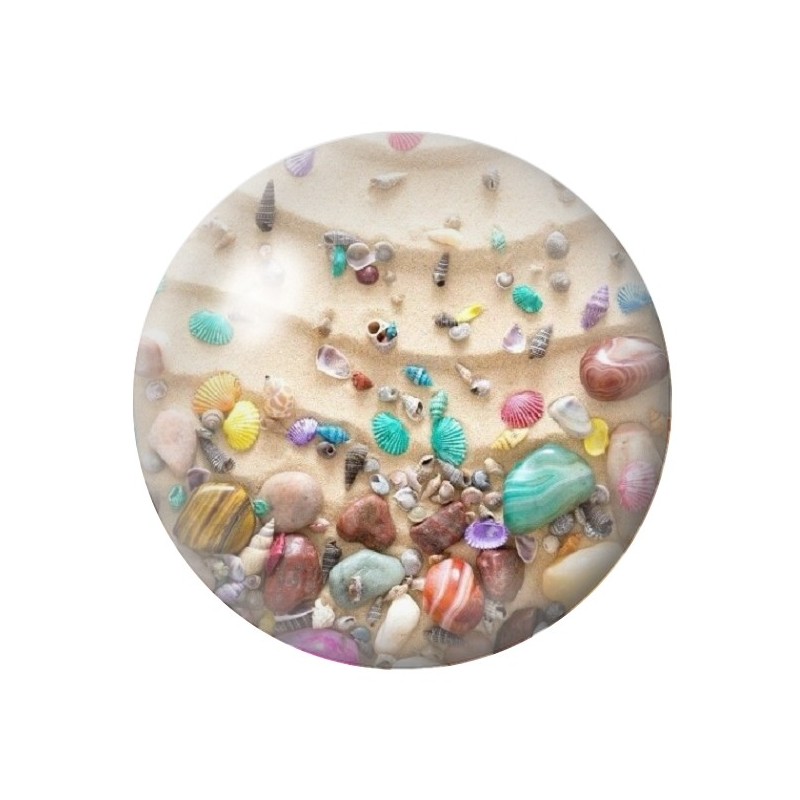 Cabochon en Verre Illustré Coquillages Mer Été 12 à 25mm