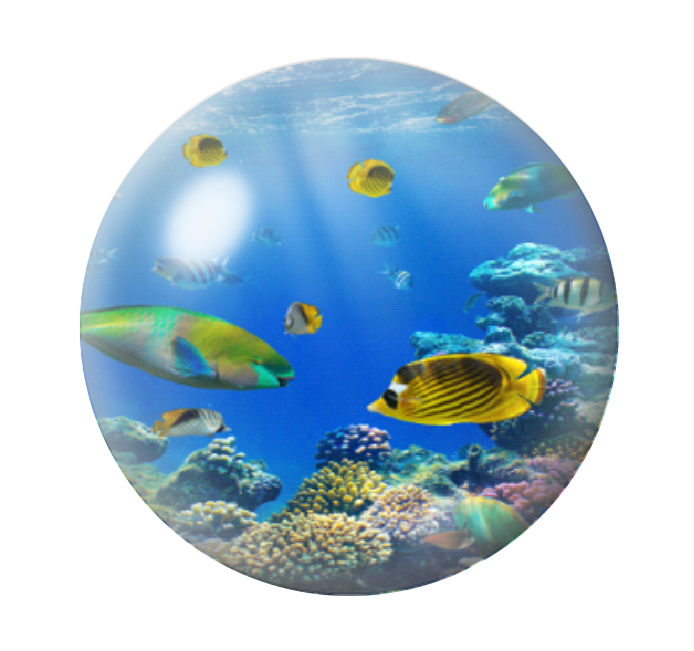Cabochon en Verre Illustré Fond Marin Mer Été 12 à 25mm
