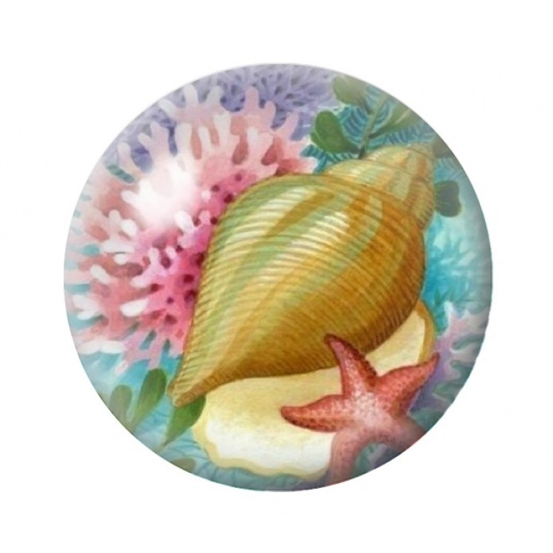 Cabochon en Verre Illustré Coquillage Mer Été 12 à 25mm