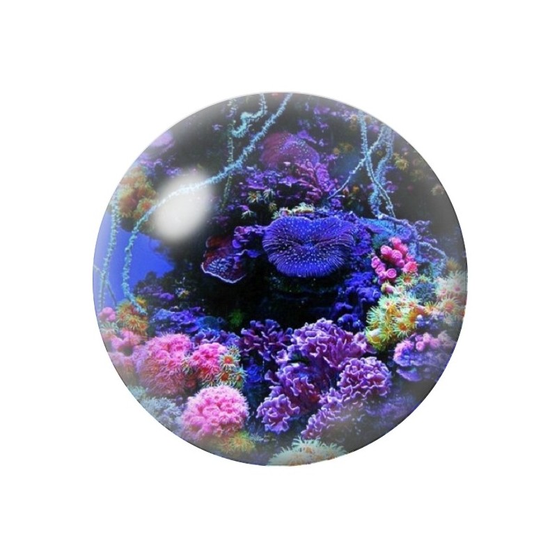 Cabochon en Verre Illustré Fond Marin Mer Été 12 à 25mm