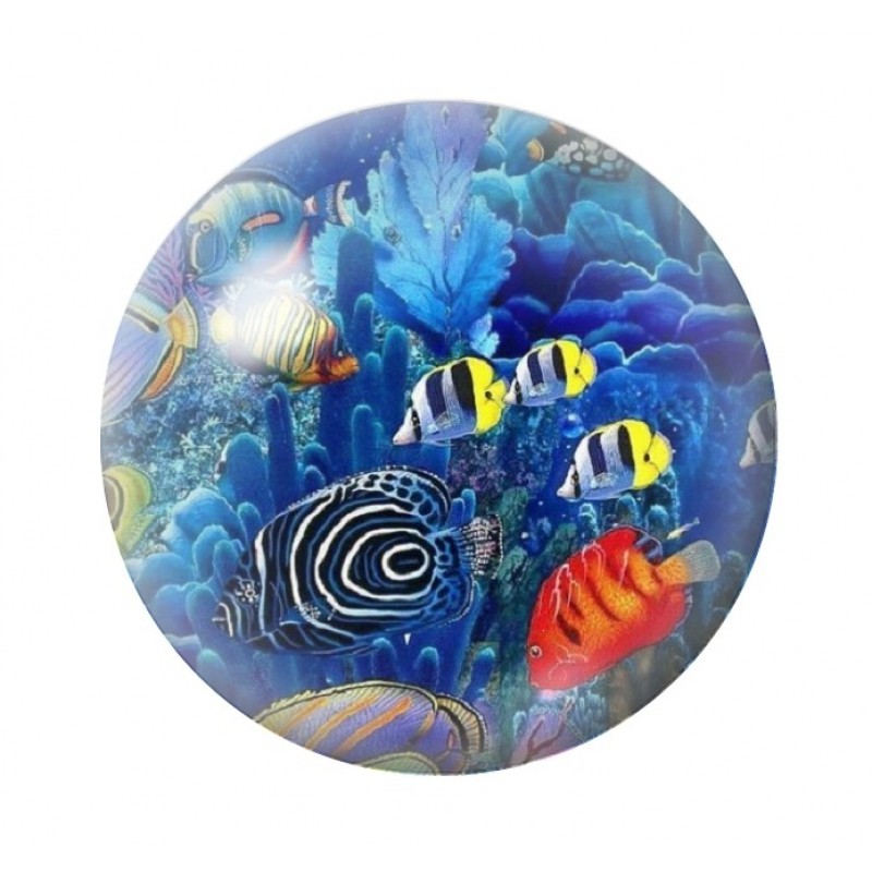Cabochon en Verre Illustré Mer Été 12 à 25mm
