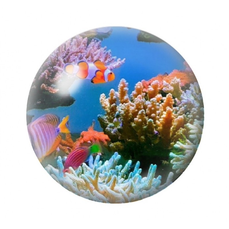 Cabochon en Verre Illustré Corail Poissons Mer Été 12 à 25mm