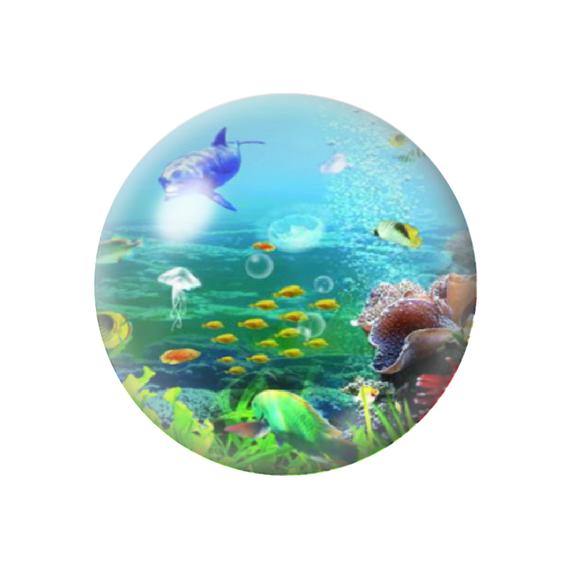 Cabochon en Verre Illustré Dauphin Poissons Mer Été 12 à 25mm