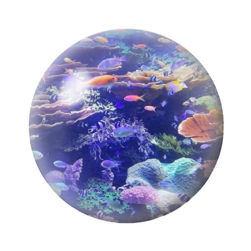 Cabochon en Verre Illustré Poissons Mer Été 12 à 25mm