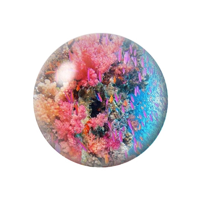 Cabochon en Verre Illustré Corail Poissons Mer Été 12 à 25mm