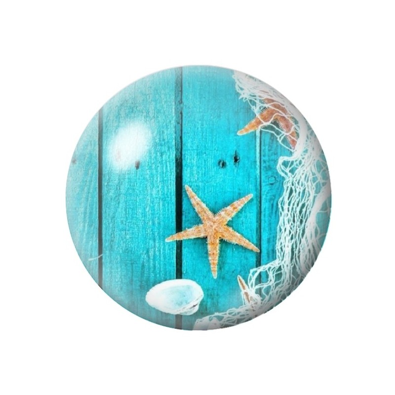 Cabochon en Verre Illustré Filet Etoile de Mer Été 12 à 25mm