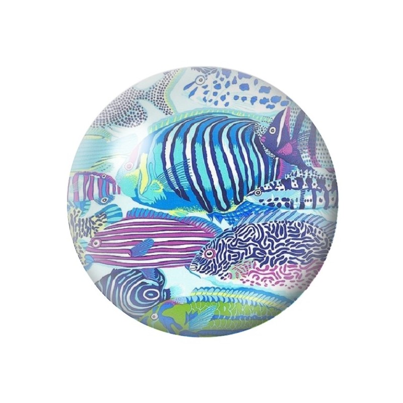 Cabochon en Verre Illustré Poissons Mer Été 12 à 25mm