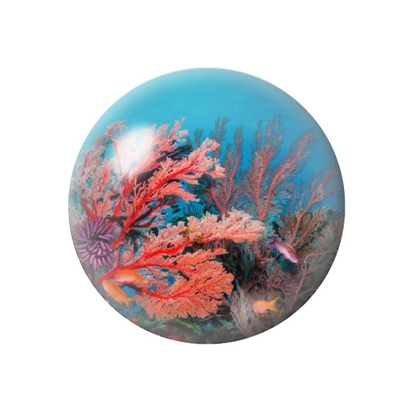Cabochon en Verre Illustré Corail Mer Été 12 à 25mm