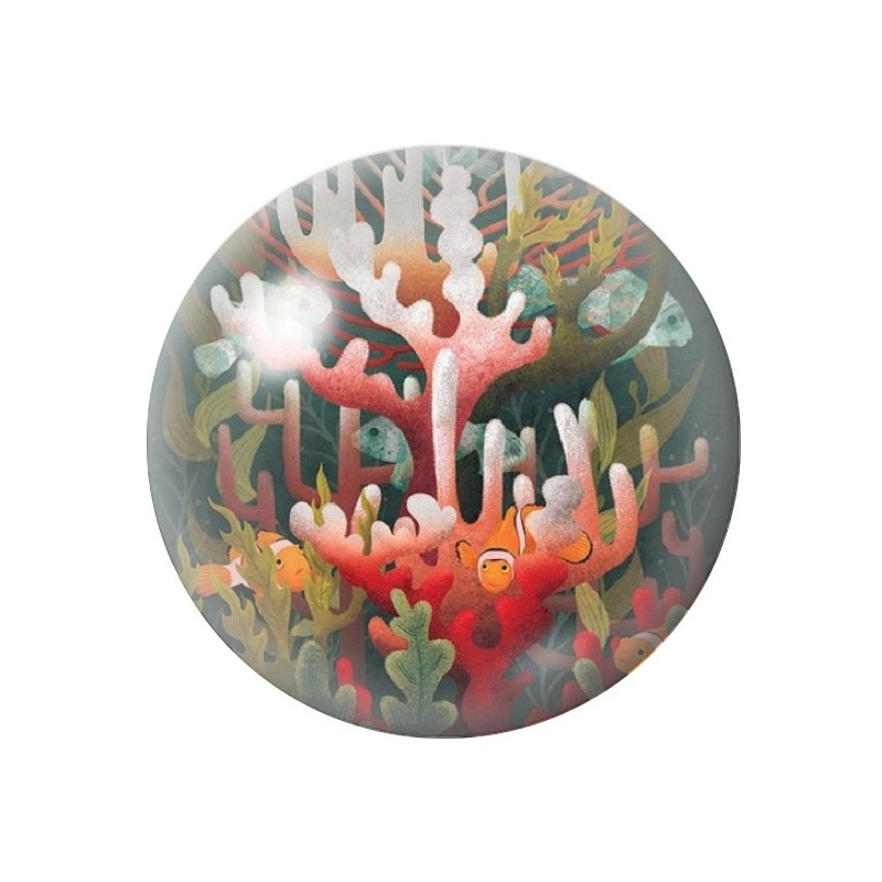 Cabochon en Verre Illustré Corail Mer Été 12 à 25mm