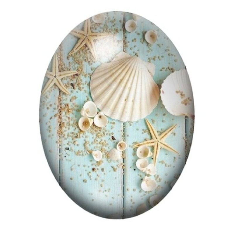 Cabochon en Verre Illustré Coquillage Blanc et Étoiles de Mer sur Bois Bleu 13x18, 18x25 ou 30x40mm