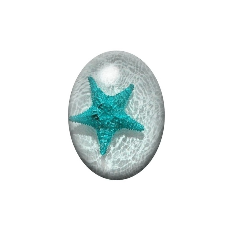 Cabochon en Verre Illustré Etoile de Mer, Été 13x18, 18x25 ou 30x40mm