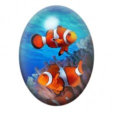 Cabochon en Verre Illustré Deux Poissons-Clowns dans les Anémones 13x18, 18x25 ou 30x40mm pour la création de bijoux fantaisie -