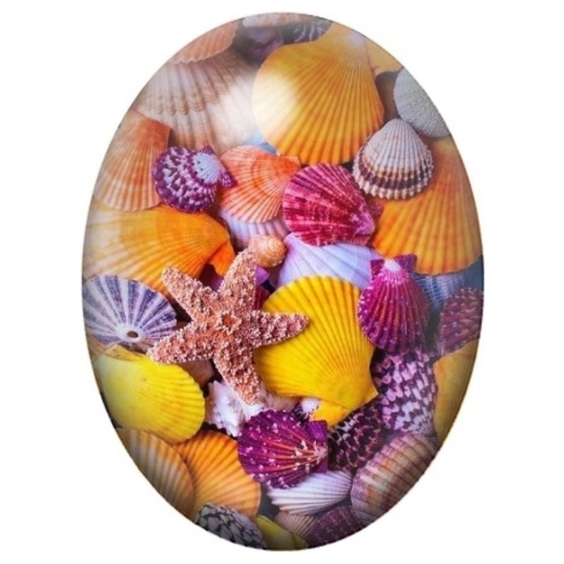 Cabochon en Verre Illustré Collection de Coquillages Multicolores 13x18, 18x25 ou 30x40mm