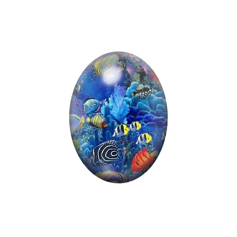 Cabochon en Verre Illustré Mer, Été, Poissons 13x18, 18x25 ou 30x40mm
